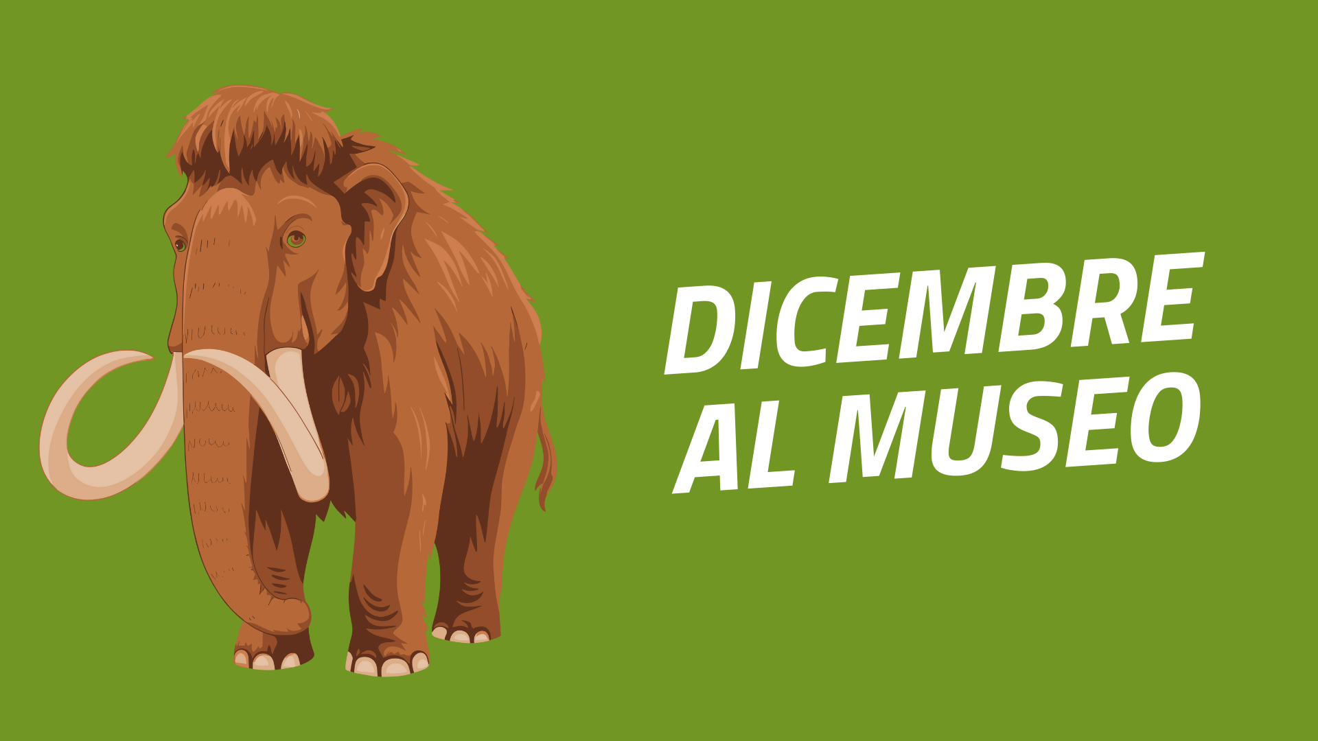 Le attività di dicembre nei Musei Civici