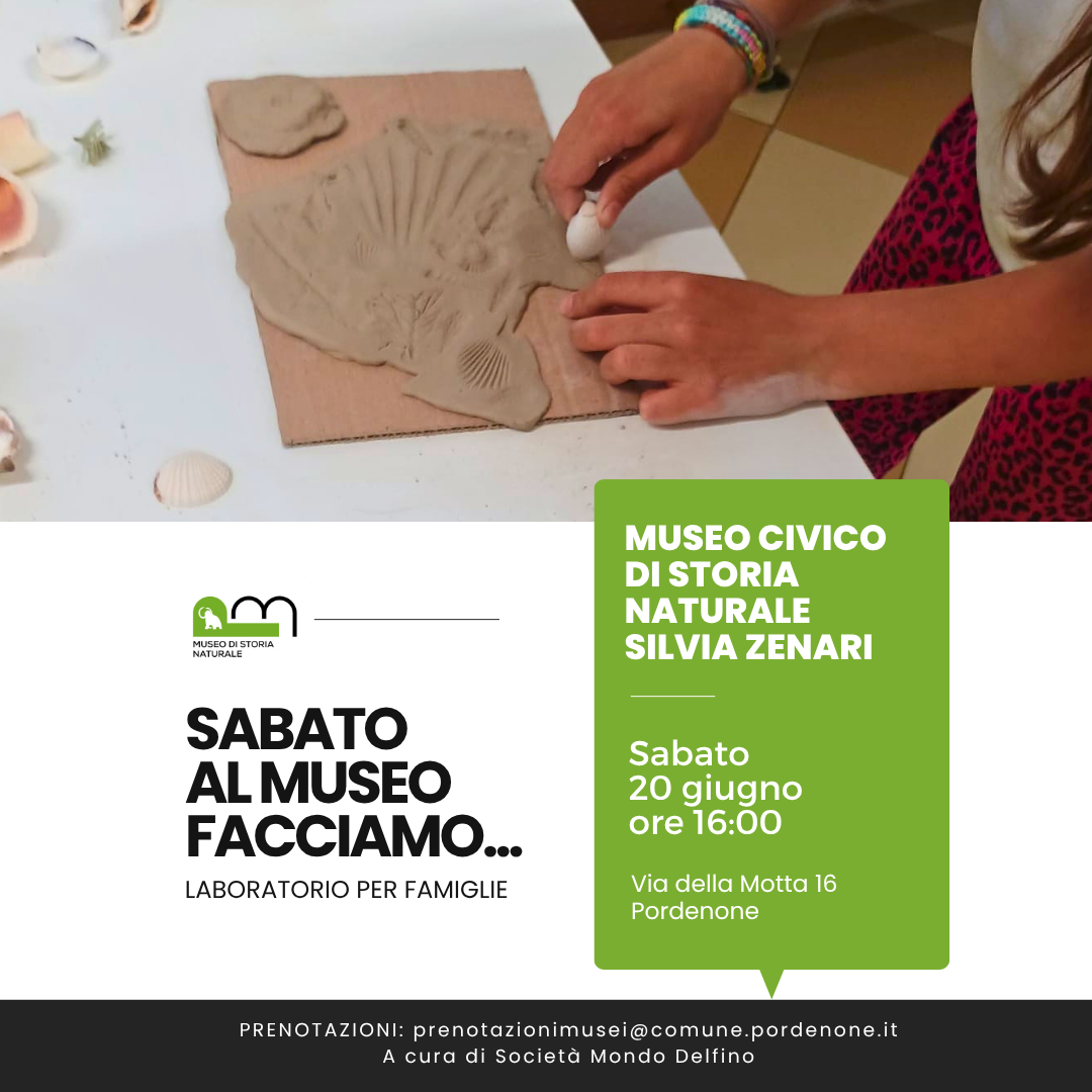 Sabato al museo facciamo.....la nostra conchiglia artistica