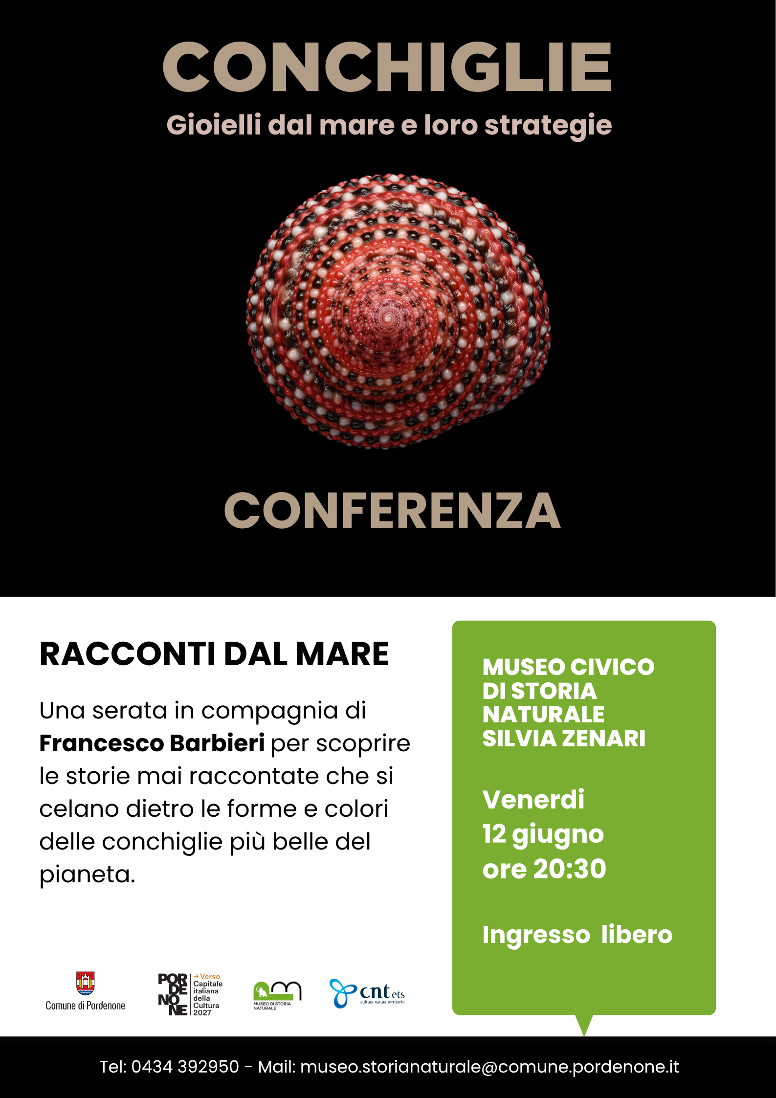 Le conchiglie più belle del mondo